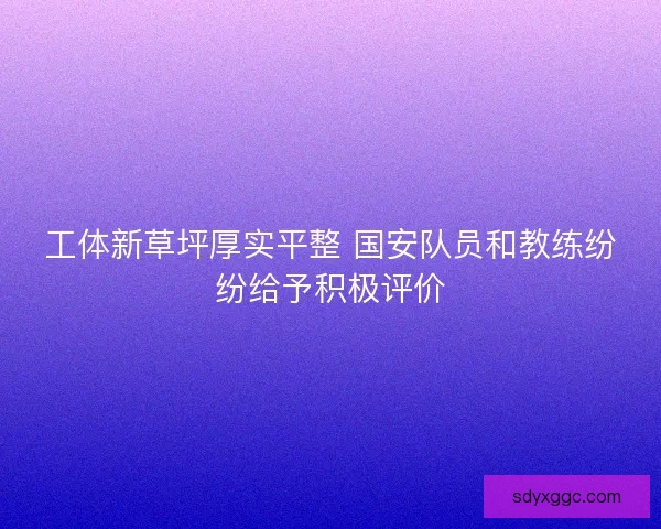 工体新草坪厚实平整 国安队员和教练纷纷给予积极评价