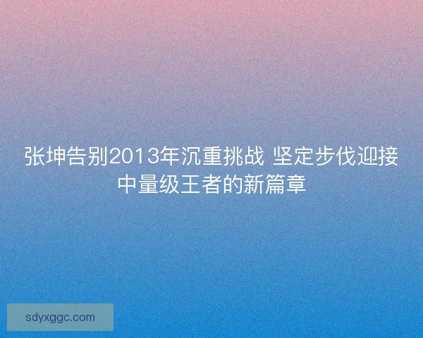 张坤告别2013年沉重挑战 坚定步伐迎接中量级王者的新篇章