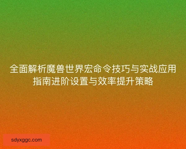全面解析魔兽世界宏命令技巧与实战应用指南进阶设置与效率提升策略